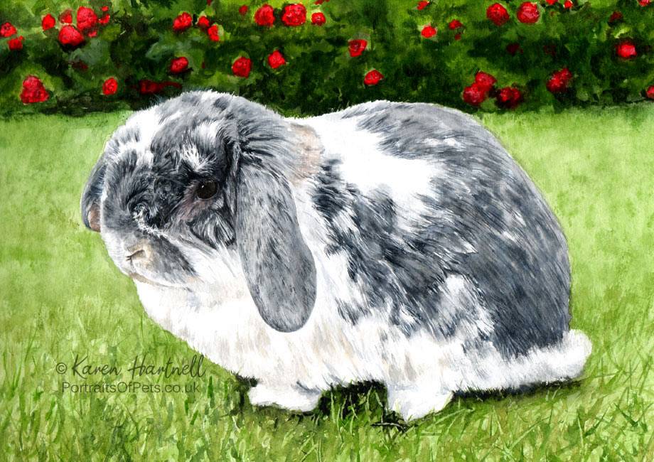 An A4 size (297 mm x 210 mm) watercolour painting of a rabbit called 'Titch'