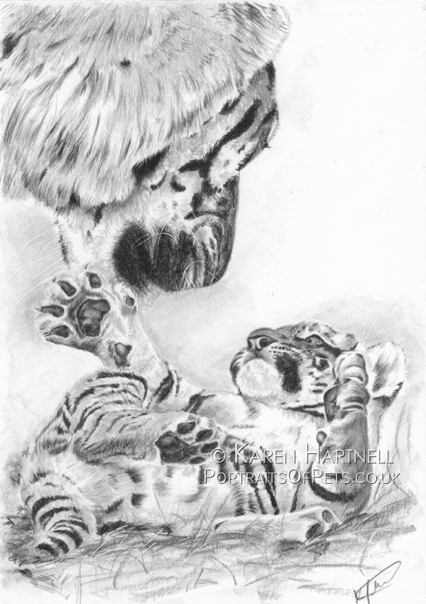 Looking to the Future. A tigress with her cub. Pencil drawing.