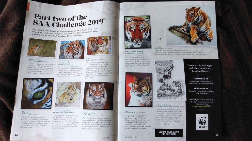 My tiger drawing in the SAA July 2019 magazine