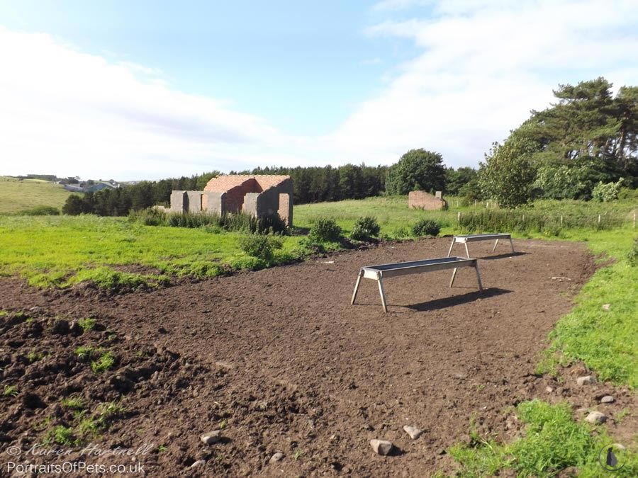 Second World War building ruins and Stanton Air Raid Shelter, plus concrete base remains