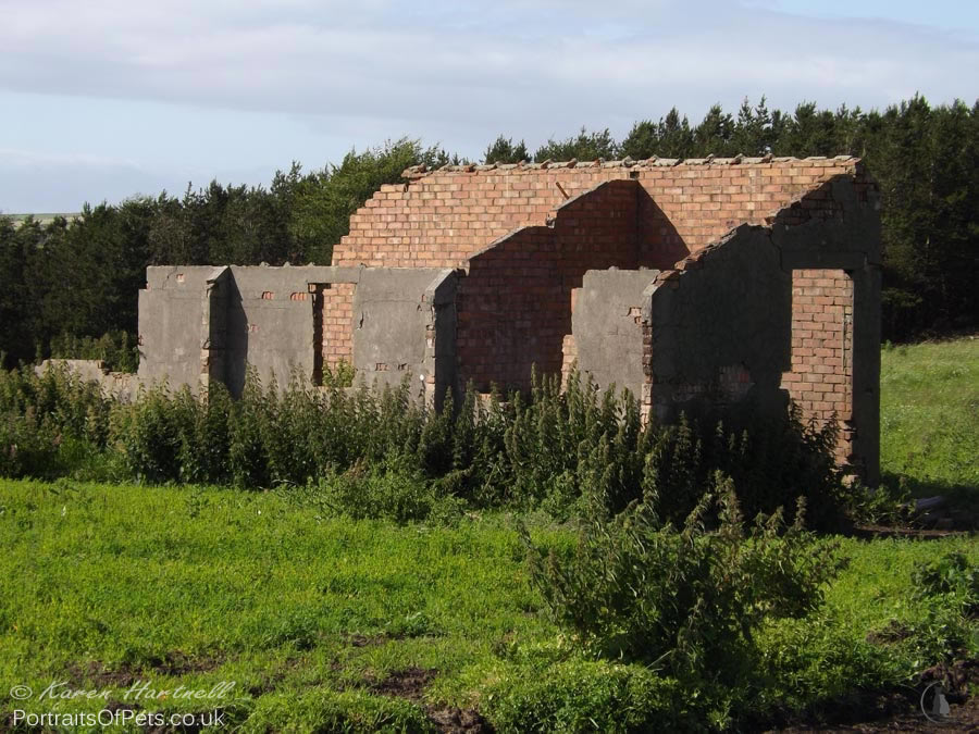 Second World War building ruins