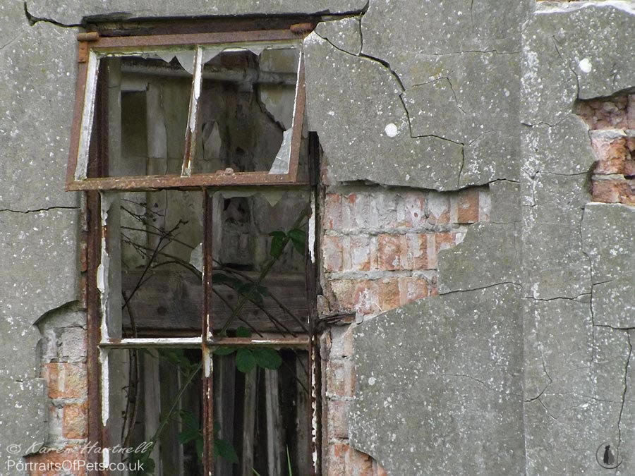 Window details. Second World War building ruins