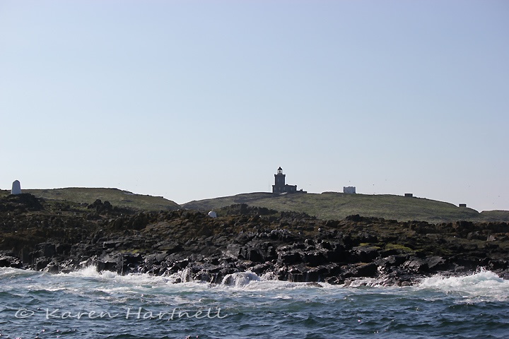 Isle of May coastline