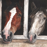 Horse portraits