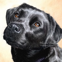 Dog watercolour portraits