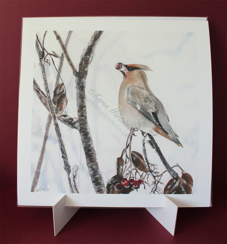 Winter Waxwing Print