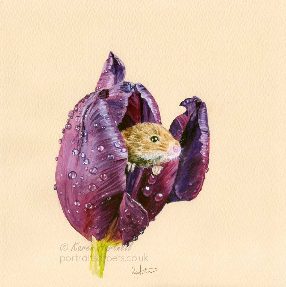 Harvest Mouse in a Tulip. Giclée art print