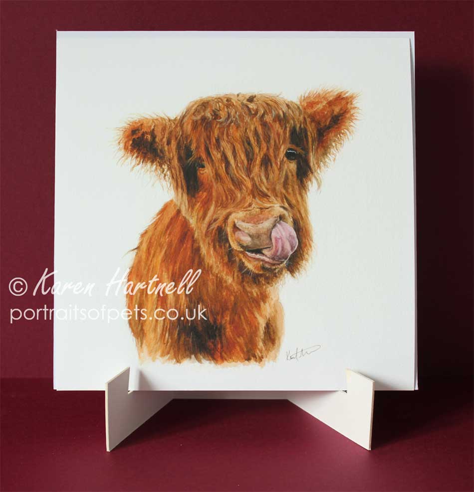 Young Highland Cow, giclée art print