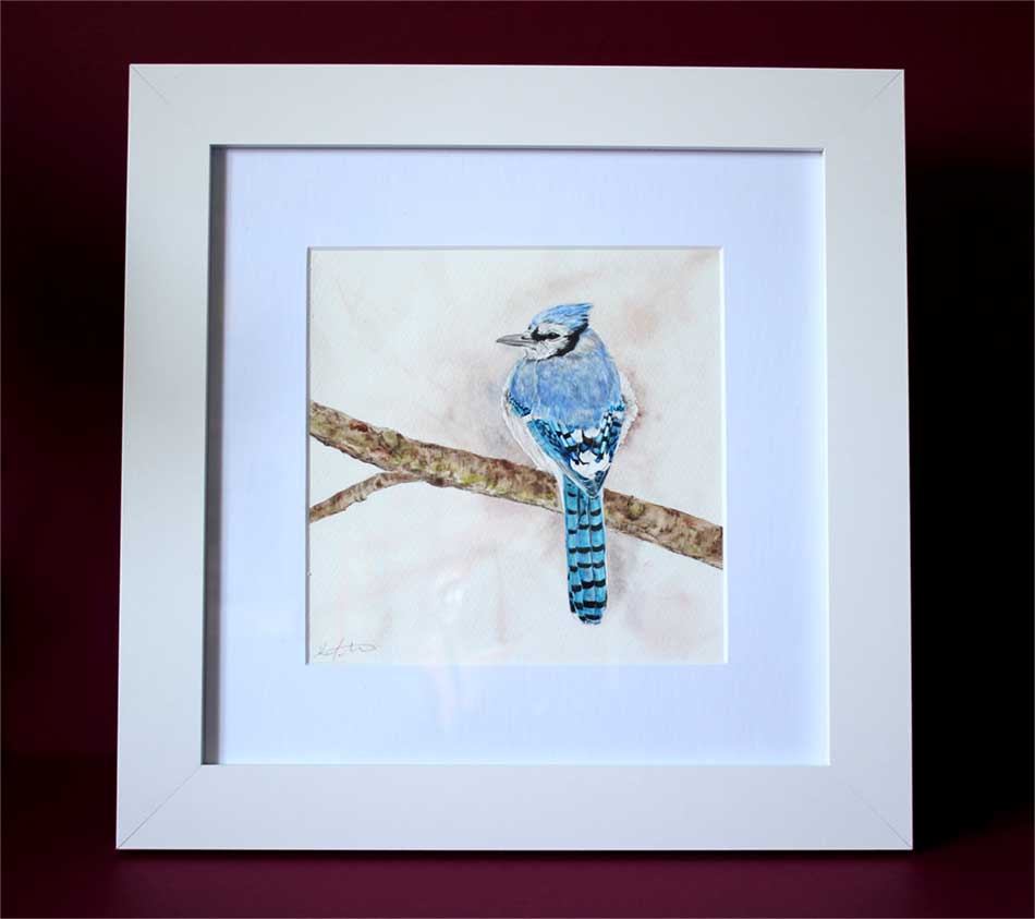 Blue Jay watercolour painting