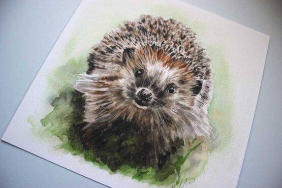 A Happy Hedgehog. Giclée art print