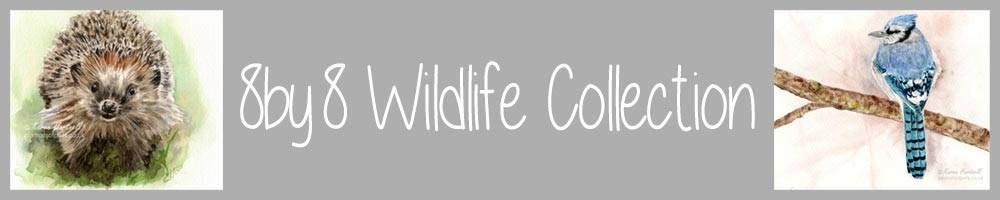 8by8 Wildlife Collection