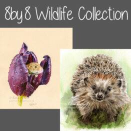 8by8 Wildlife Collection