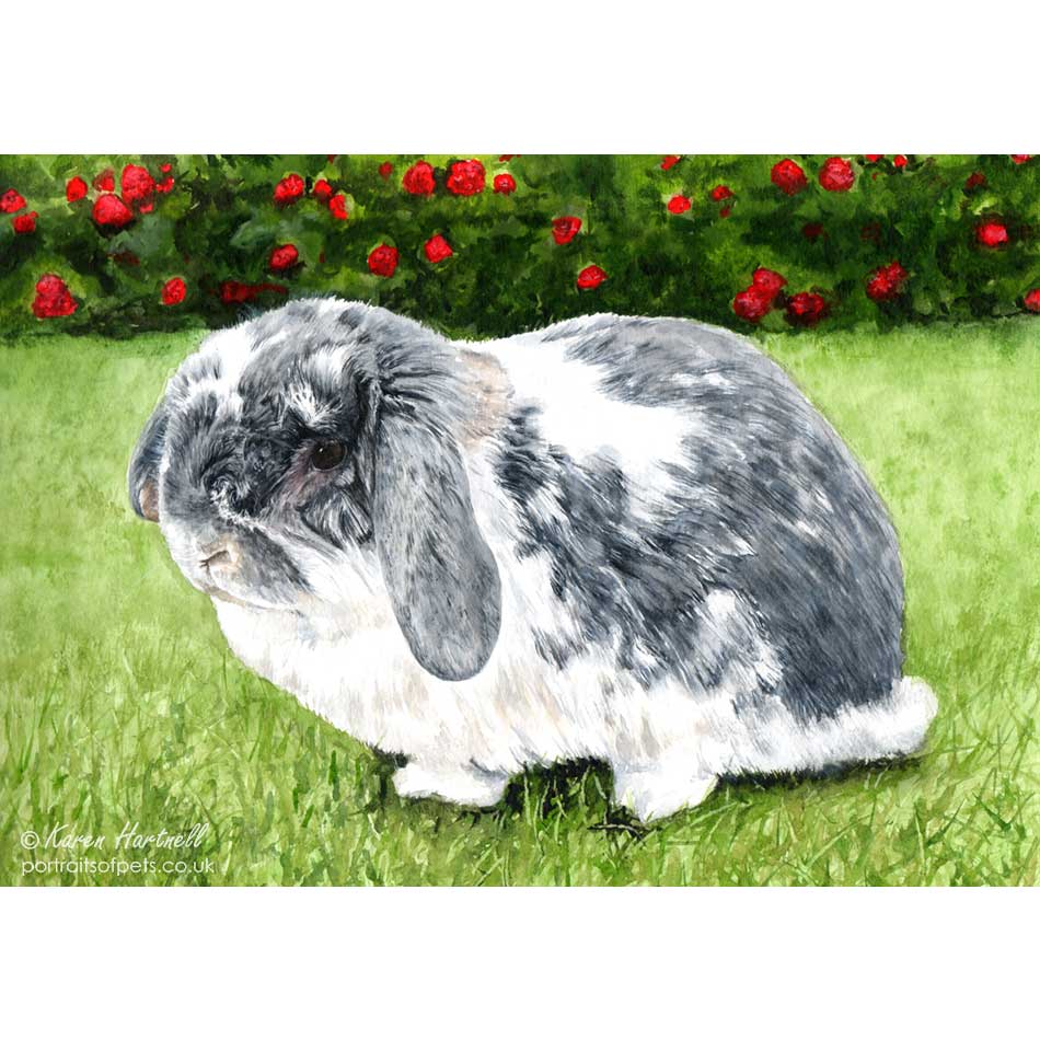 rabbit painting