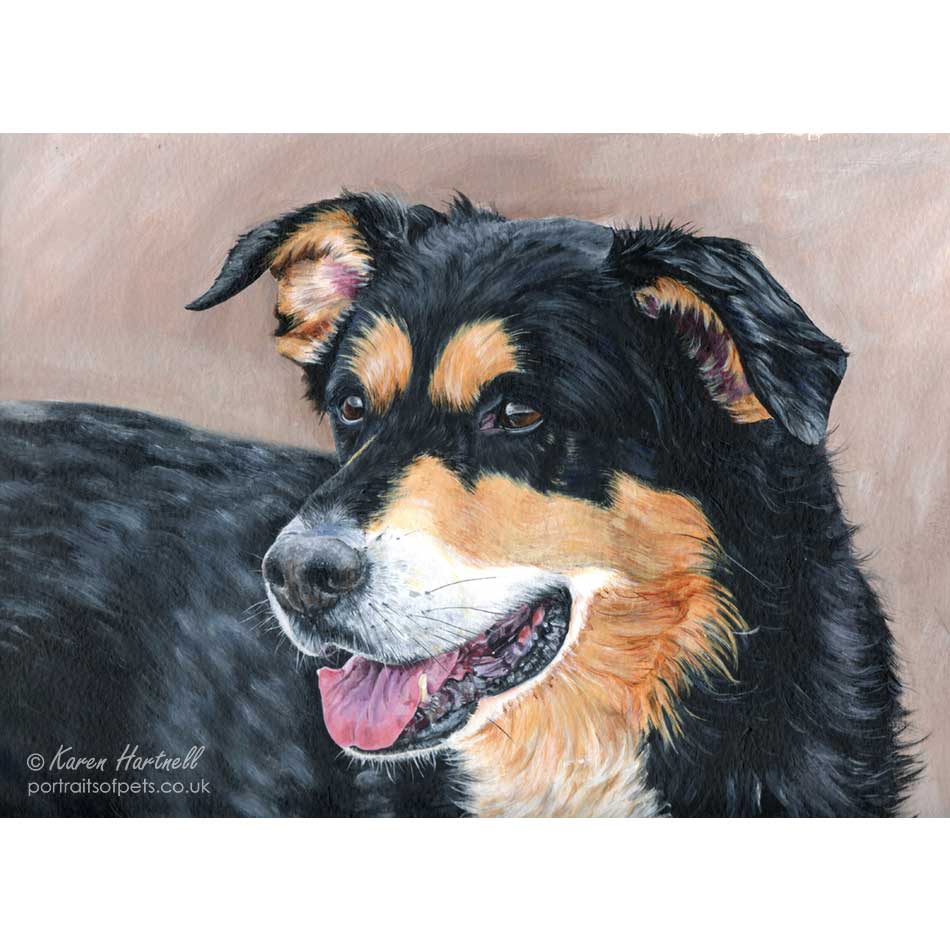 border collie dog painting