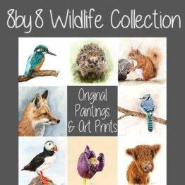 8by8 Wildlife Collection: Paintings and Prints