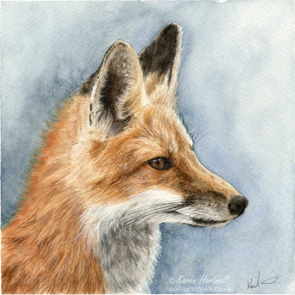 Red Fox - Animal Portrait Painting