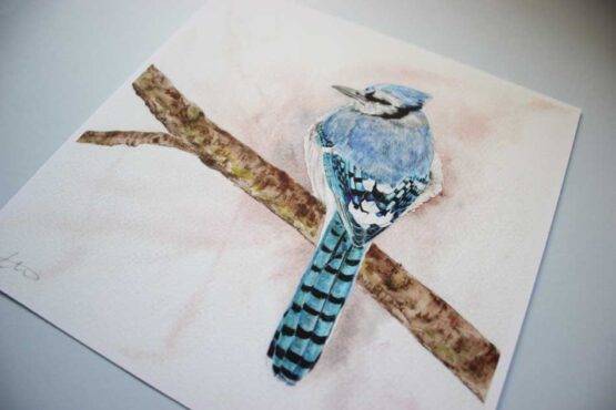 Blue Jay giclée art print