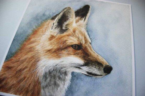 Red Fox giclée art print