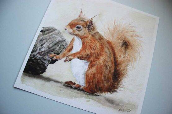 Red Squirrel giclée art print