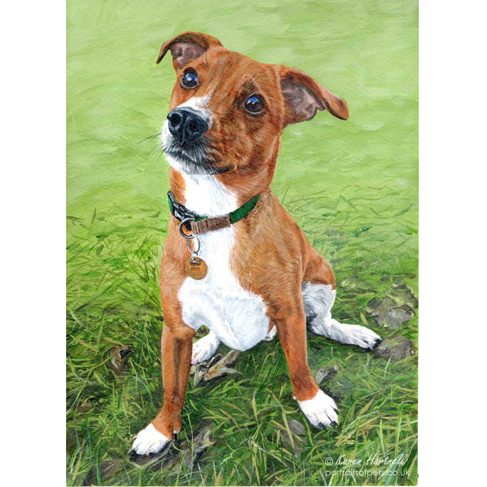 Moose, Jack Russell Cross. Acrylic painting