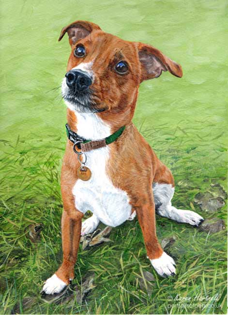 Custom dog portrait Christmas gift