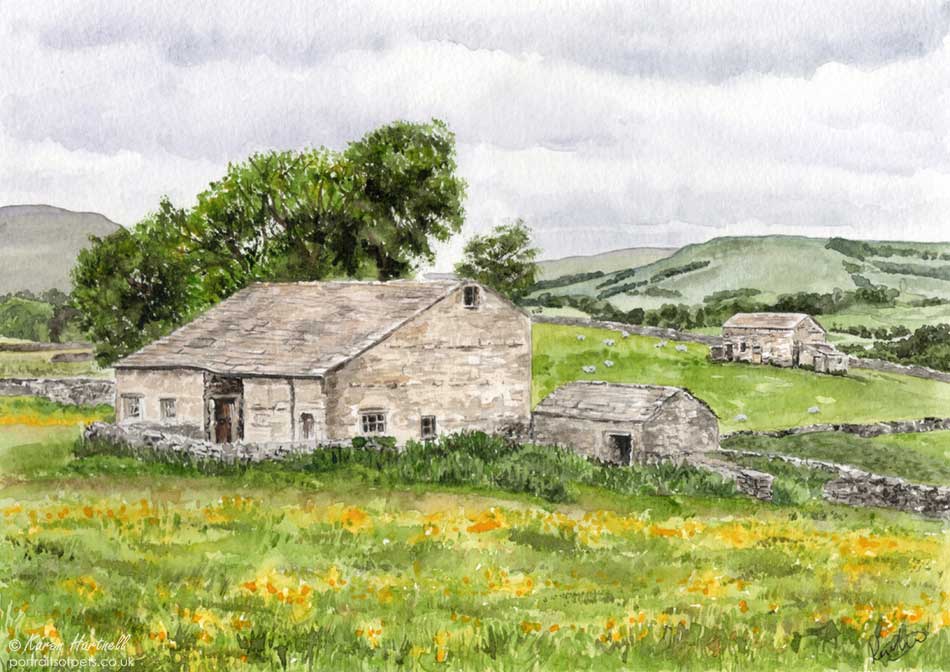 Painting of field barns at Burtersett, Wensleydale, Yorkshire Dales, a sea of yellow wildflowers of the haymeadow gives the foreground a splash of sunshine colour. (for sale)