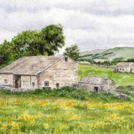 Watercolour painting of Burtersett field barns, Wensleydale, Yorkshire Dales. Original landscape art featuring stone barns and summer wildflower meadows